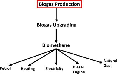 Enhancing and upgrading biogas and biomethane production in anaerobic digestion: a comprehensive review